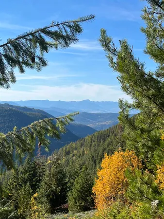 $350,000 | Nka Frisco Standard Road, Colville, WA 99114