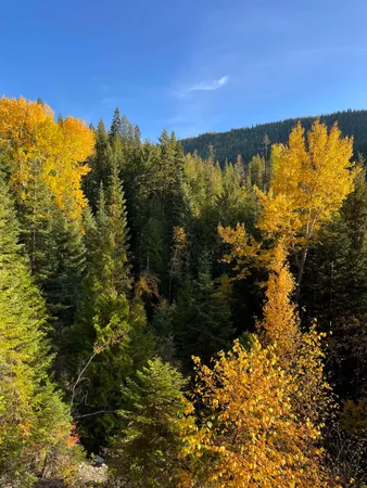 $350,000 | Nka Frisco Standard Road, Colville, WA 99114