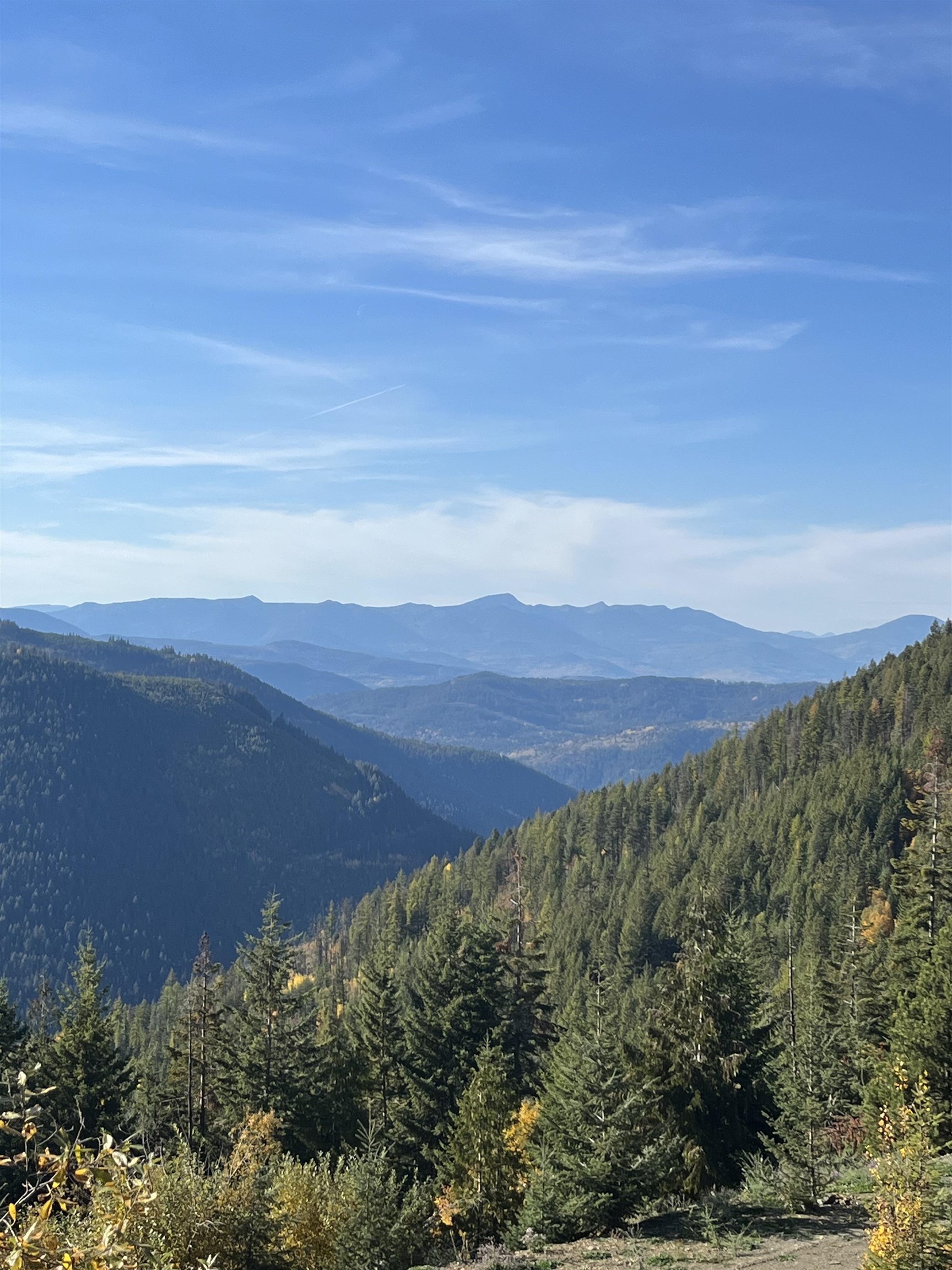 Nka Frisco Standard Road Colville, WA 99114 - Photo 27 of 50