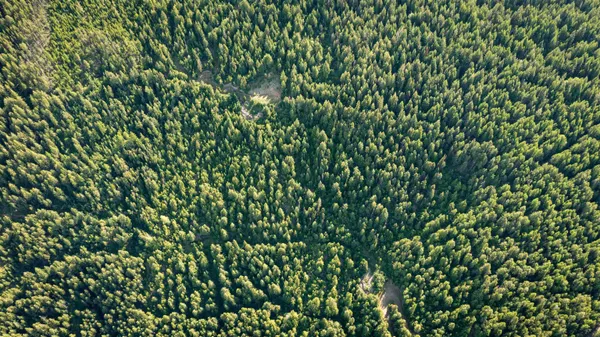 $350,000 | Nka Frisco Standard Road, Colville, WA 99114