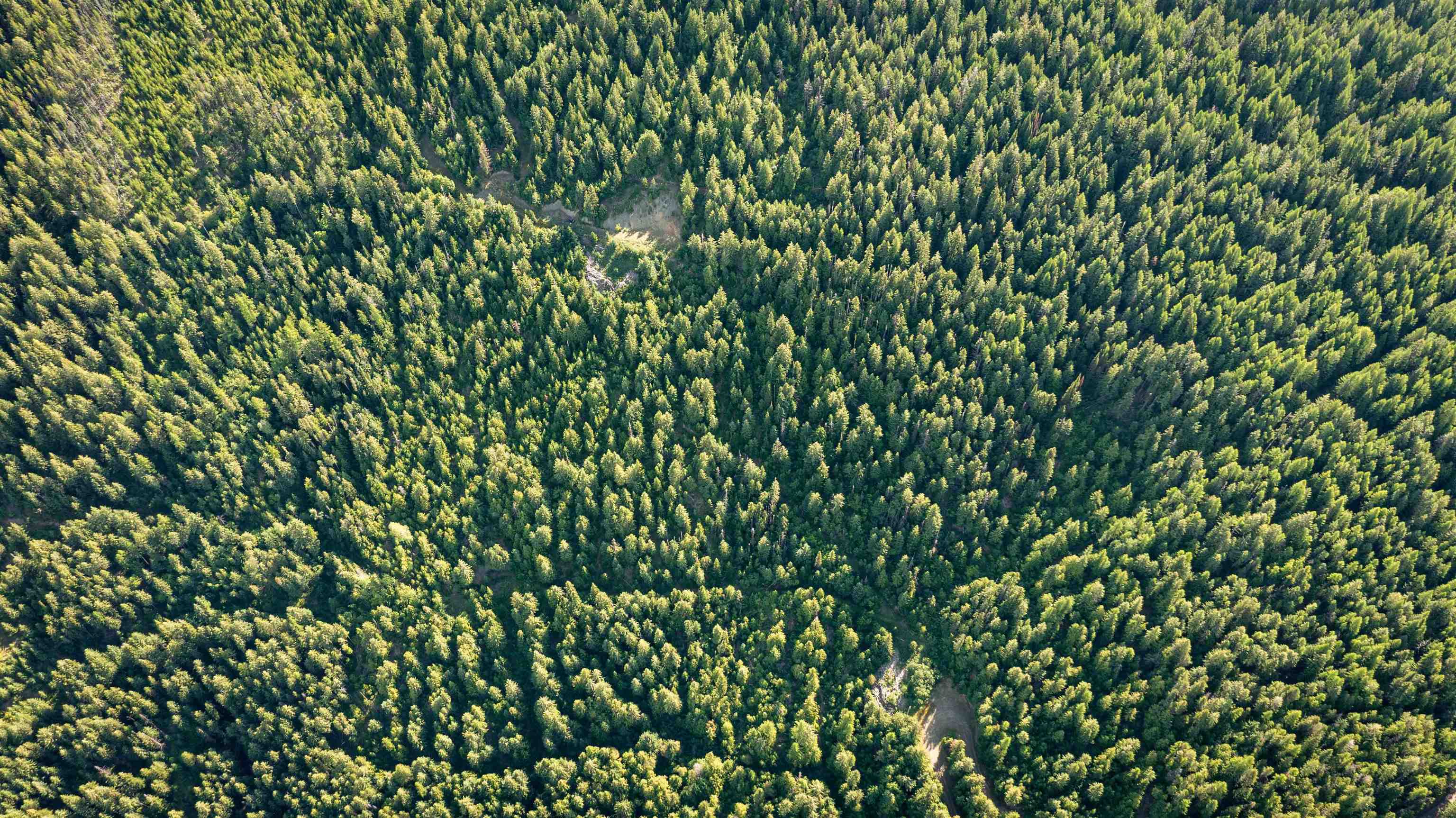 Nka Frisco Standard Road Colville, WA 99114 - Photo 29 of 50