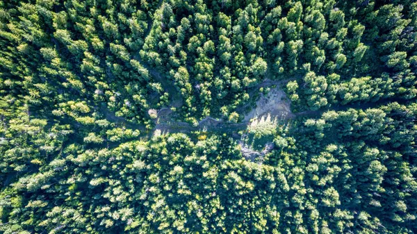 $350,000 | Nka Frisco Standard Road, Colville, WA 99114