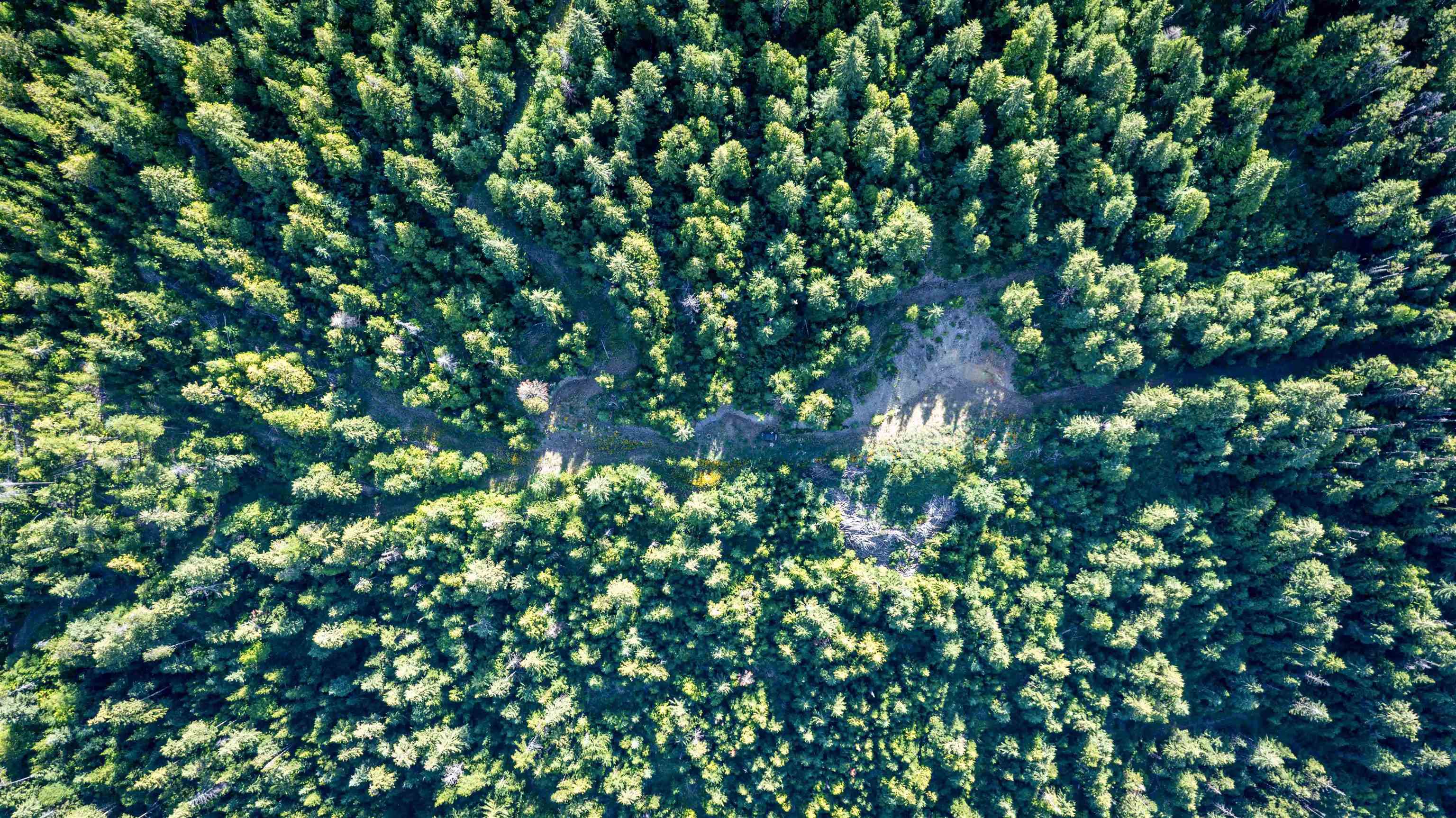 Nka Frisco Standard Road Colville, WA 99114 - Photo 30 of 50