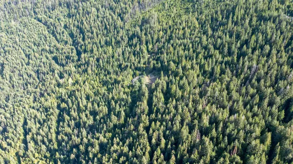 $350,000 | Nka Frisco Standard Road, Colville, WA 99114