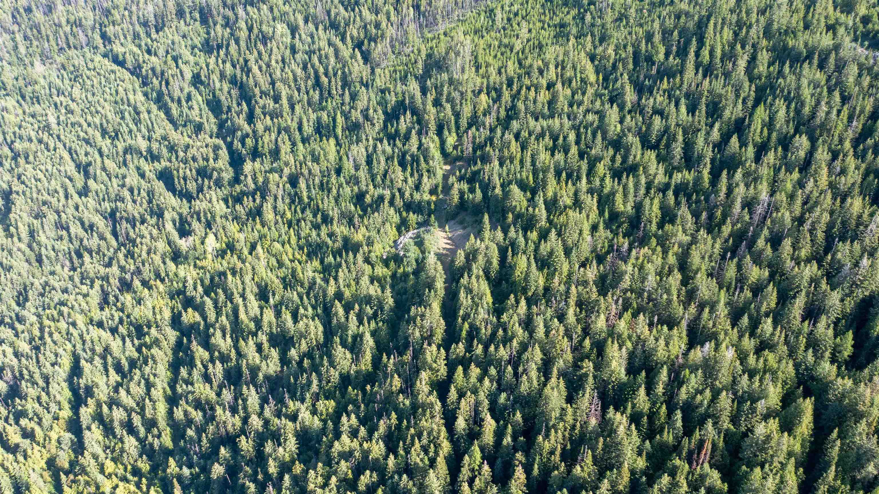 Nka Frisco Standard Road Colville, WA 99114 - Photo 31 of 50