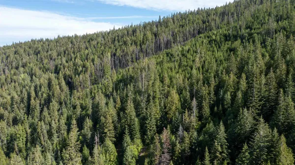 $350,000 | Nka Frisco Standard Road, Colville, WA 99114