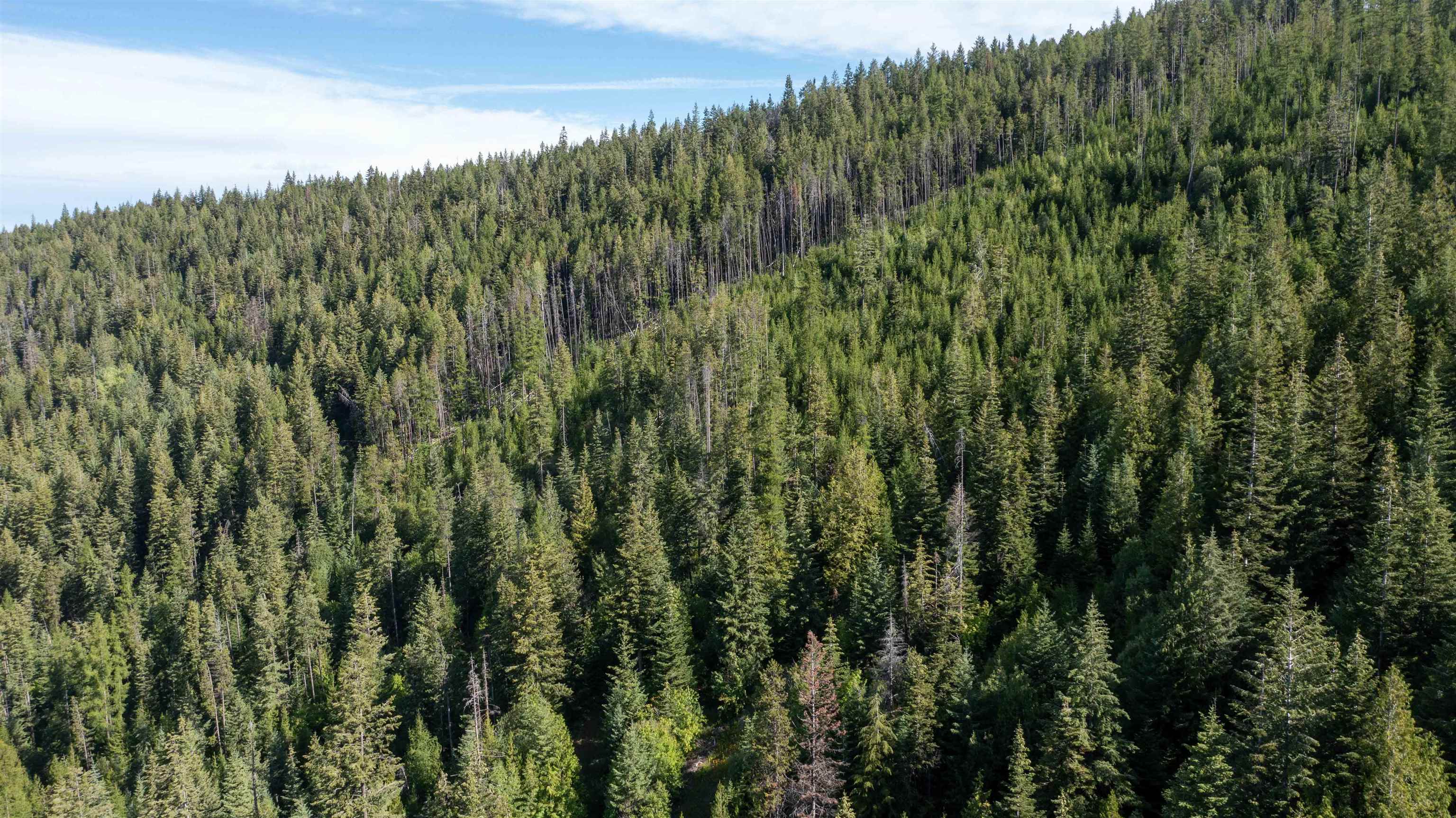 Nka Frisco Standard Road Colville, WA 99114 - Photo 32 of 50