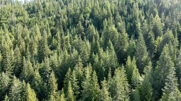 $350,000 | Nka Frisco Standard Road, Colville, WA 99114