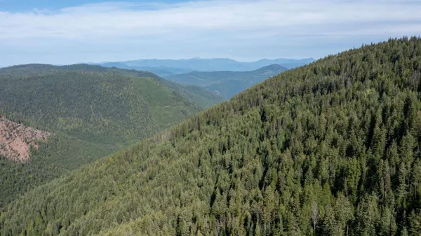 $350,000 | Nka Frisco Standard Road, Colville, WA 99114