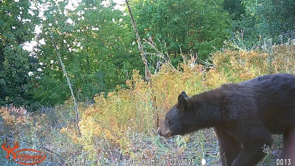 $350,000 | Nka Frisco Standard Road, Colville, WA 99114