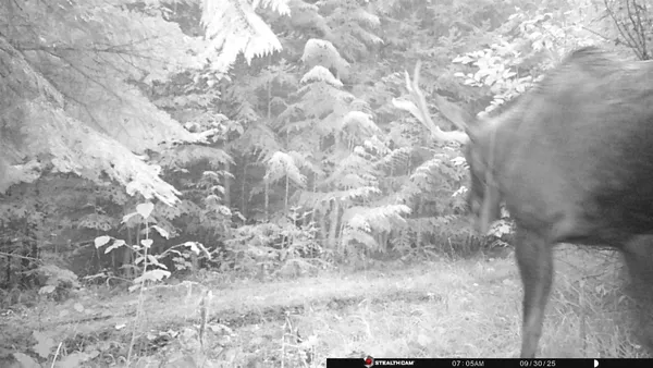 $350,000 | Nka Frisco Standard Road, Colville, WA 99114