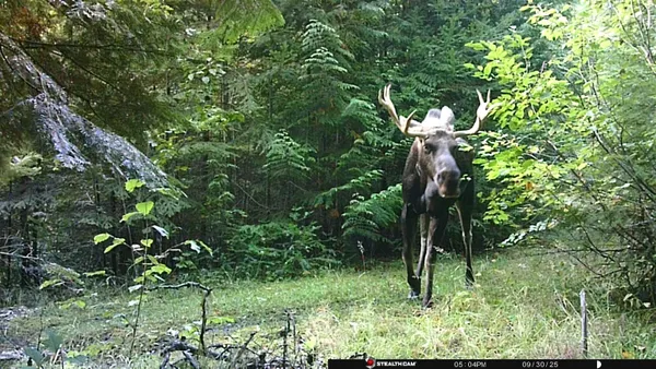 $350,000 | Nka Frisco Standard Road, Colville, WA 99114