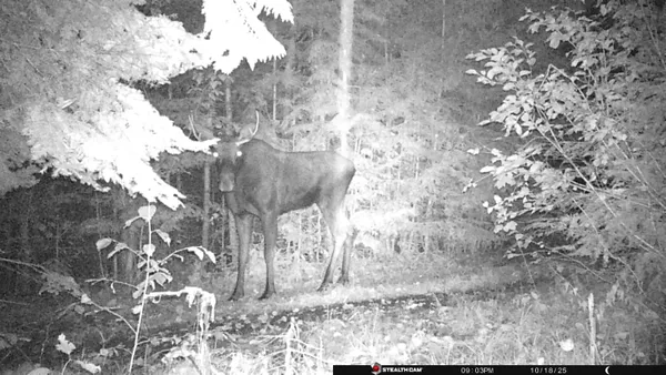 $350,000 | Nka Frisco Standard Road, Colville, WA 99114