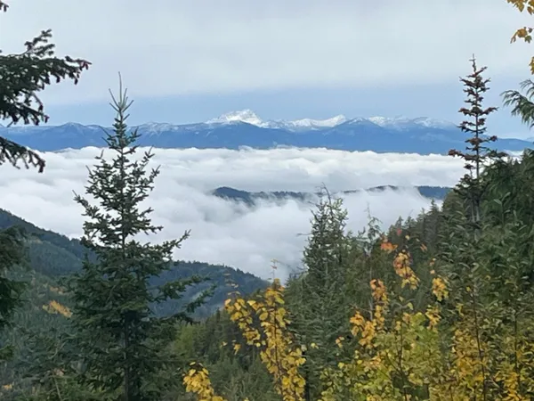 $350,000 | Nka Frisco Standard Road, Colville, WA 99114