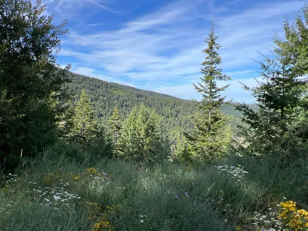 $350,000 | Nka Frisco Standard Road, Colville, WA 99114