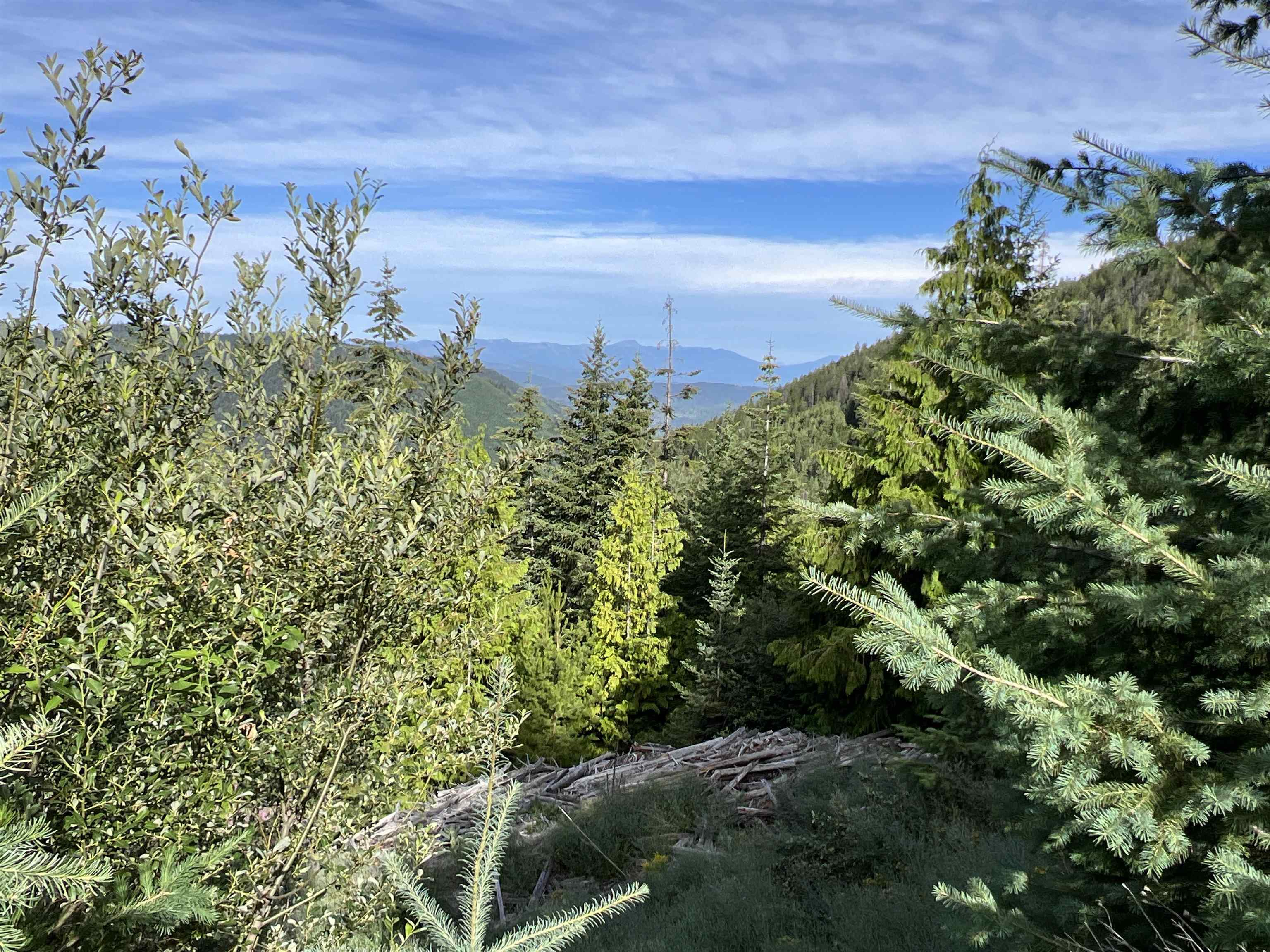 Nka Frisco Standard Road Colville, WA 99114 - Photo 9 of 50