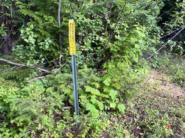 $350,000 | Nka Frisco Standard Road, Colville, WA 99114