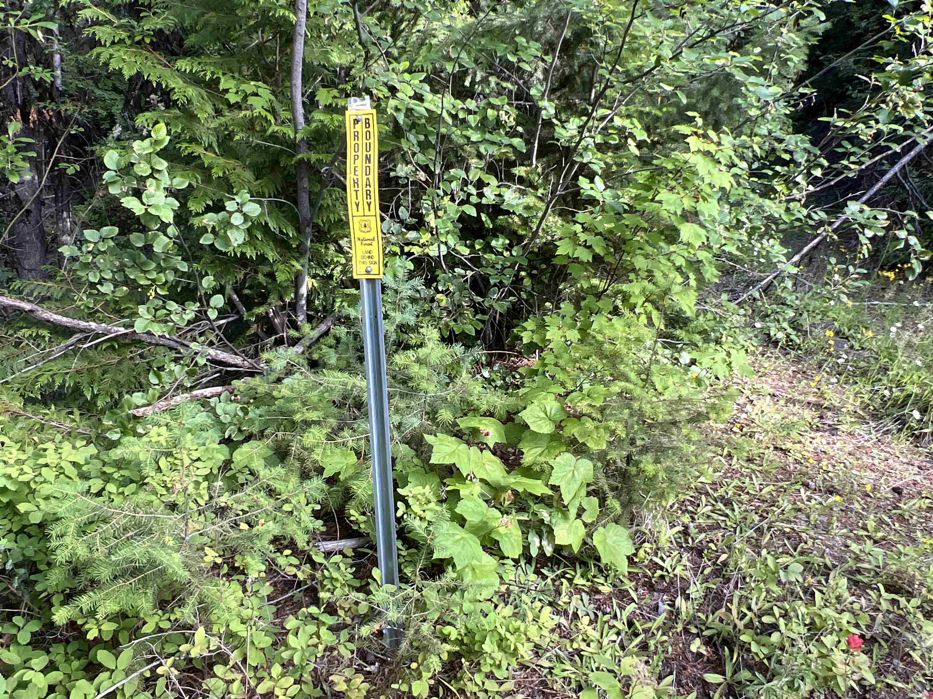 Nka Frisco Standard Road Colville, WA 99114 - Photo 10 of 50