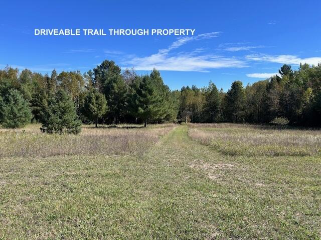 3025 Bean Creek Road Lachine, MI 49753 - Photo 27 of 32 Gallery Image 27