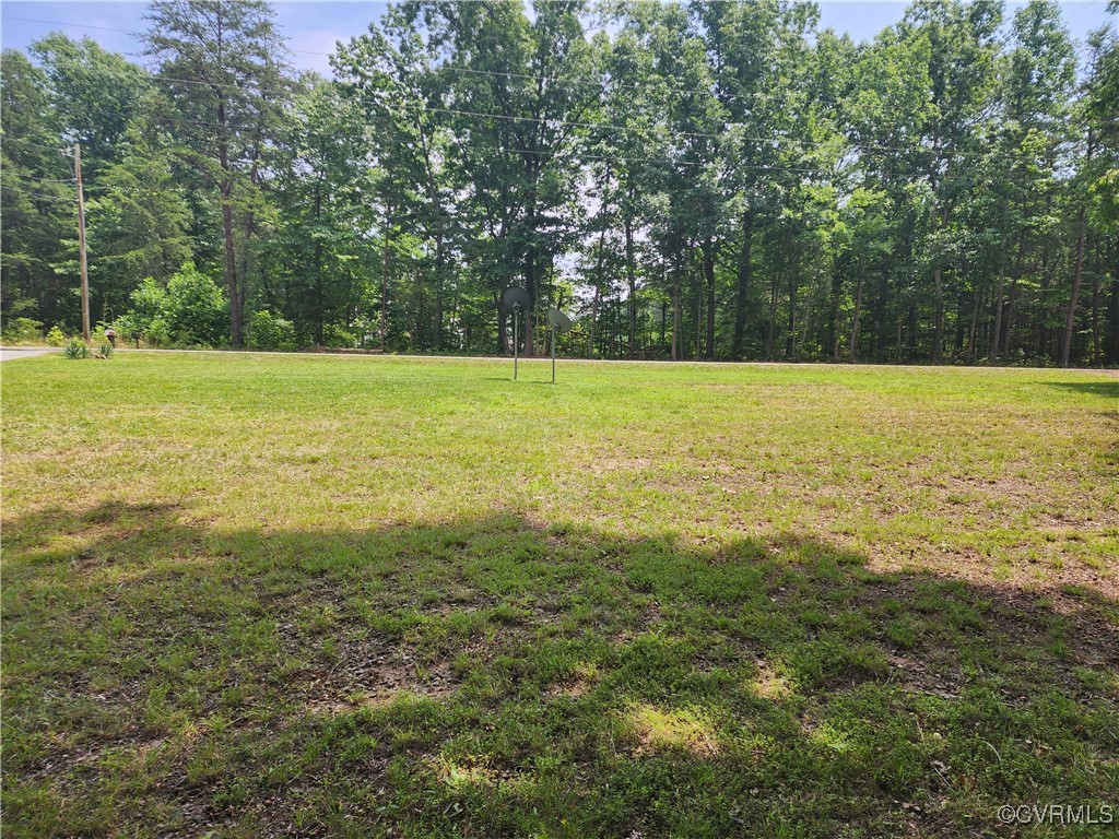 4488 Shannon Hill Road Columbia, VA 23038 - Photo 15 of 22 a view of outdoor space and yard