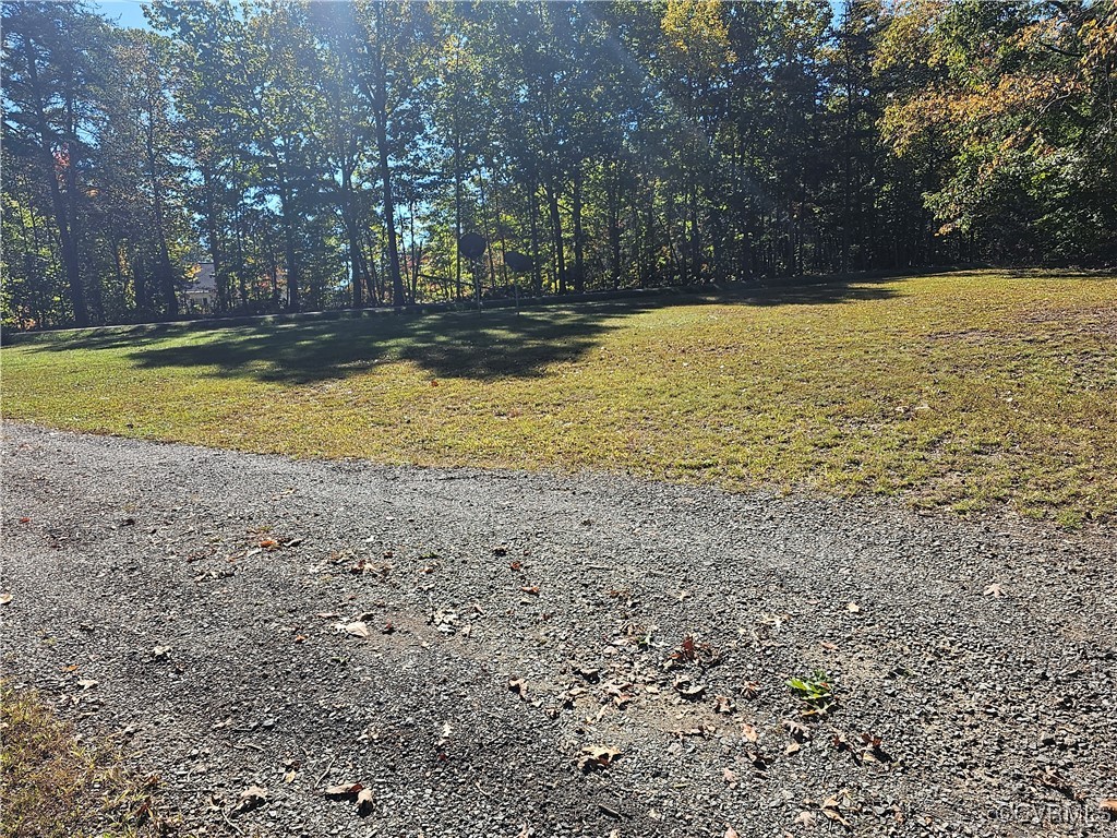 4488 Shannon Hill Road Columbia, VA 23038 - Photo 19 of 22 a view of a yard with trees