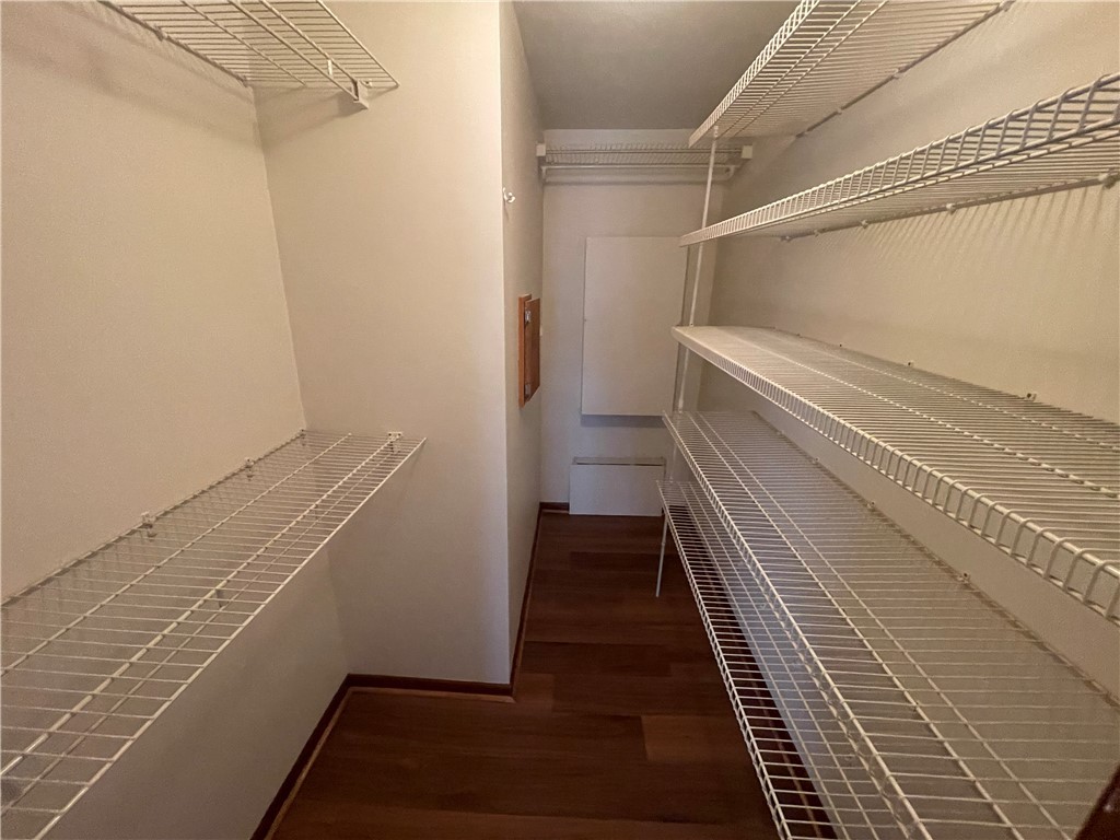 236 Issaqueena Drive Central, SC 29630 - Photo 15 of 40 Primary bedroom walk-in closet