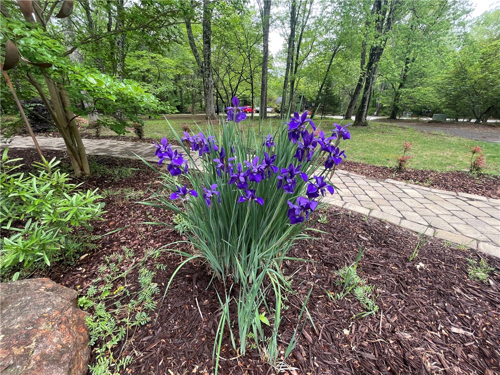 236 Issaqueena Drive Central, SC 29630 - Photo 32 of 40