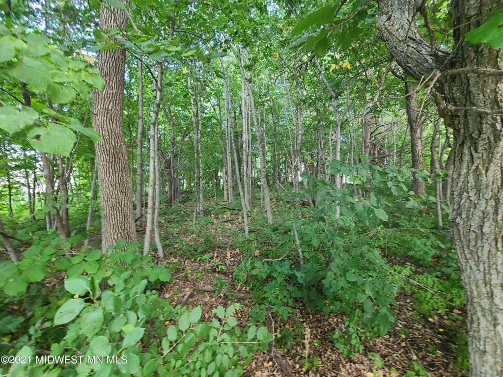 19733 Audubon Lake Road Audubon, MN 56511 - Photo 3 of 7