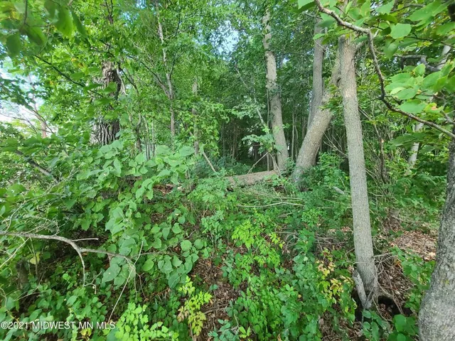 $74,900 | 19733 Audubon Lake Road, Audubon, MN 56511