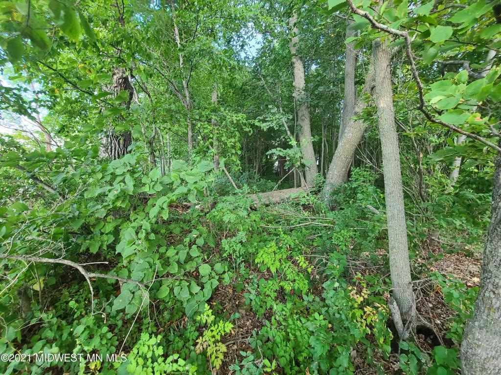 19733 Audubon Lake Road Audubon, MN 56511 - Photo 4 of 7