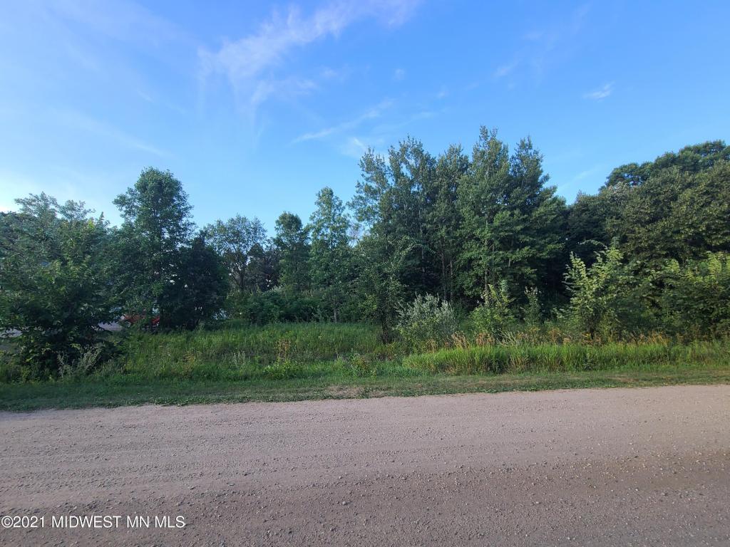 19733 Audubon Lake Road Audubon, MN 56511 - Photo 5 of 7