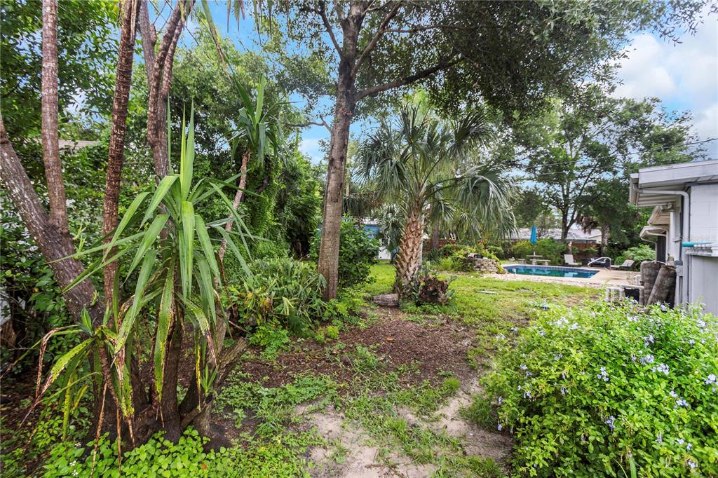 310 Terrace Drive Brandon, FL 33510 - Photo 70 of 80 a view of yard with green space