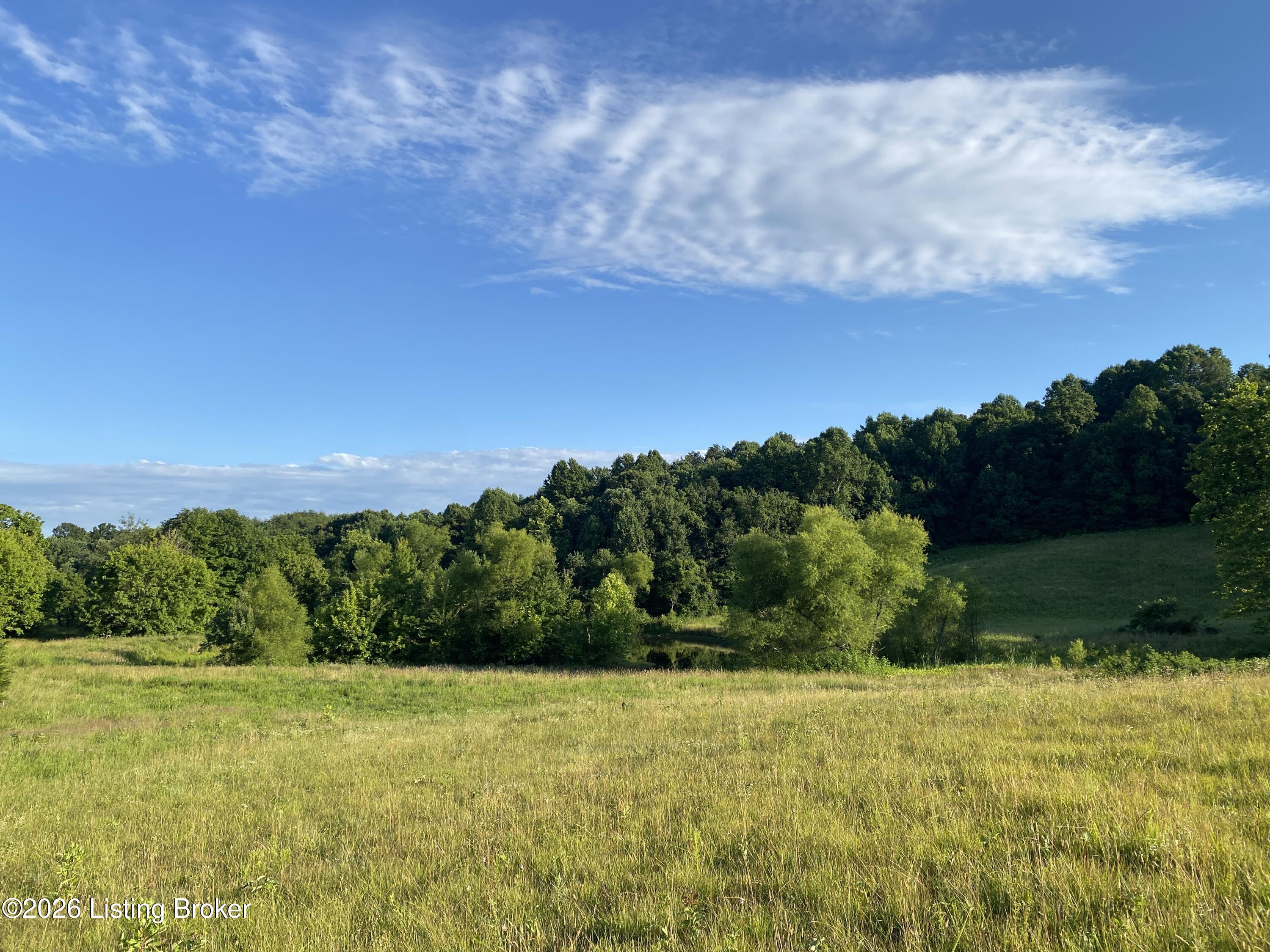 2551 Falls Of Rough Road Caneyville, KY 42721 - Photo 18 of 25 IMG_8958