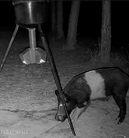 $788,500 | Kit Maples Road, Perkinston, MS 39573