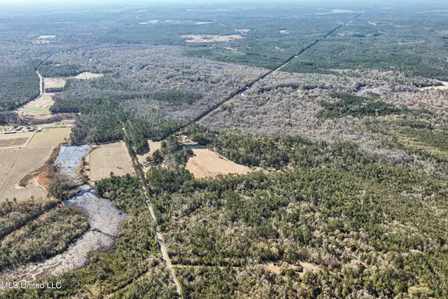 $788,500 | Kit Maples Road, Perkinston, MS 39573