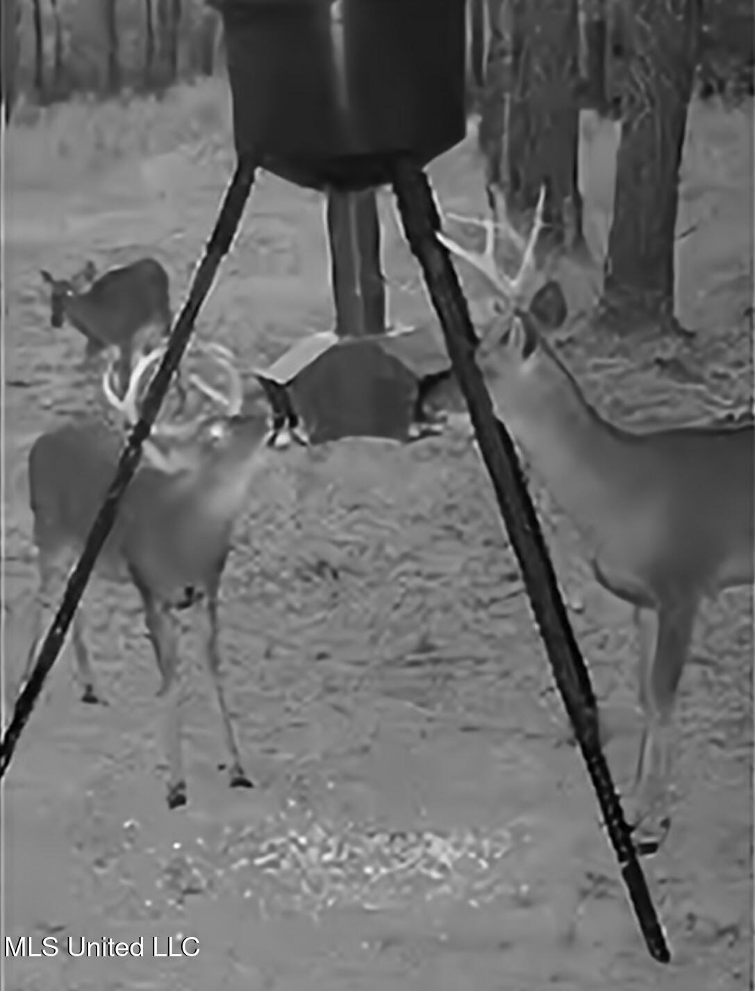 Kit Maples Road Perkinston, MS 39573 - Photo 17 of 24 Deer Feeder
