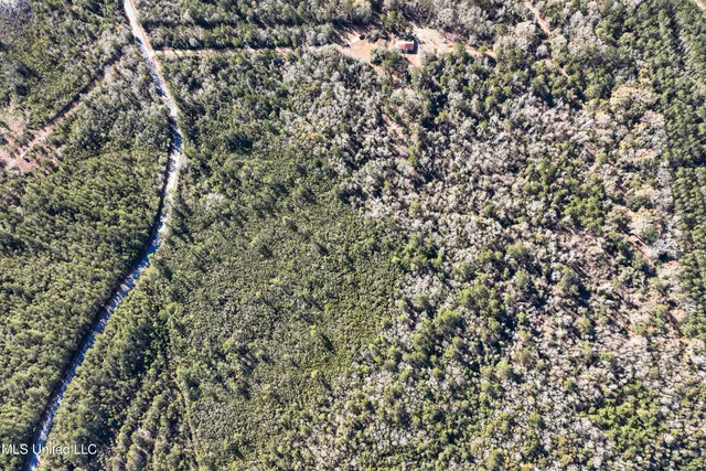 $788,500 | Kit Maples Road, Perkinston, MS 39573