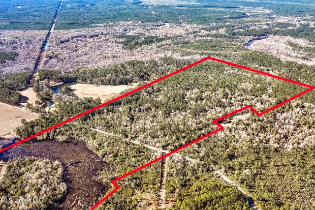 $788,500 | Kit Maples Road, Perkinston, MS 39573