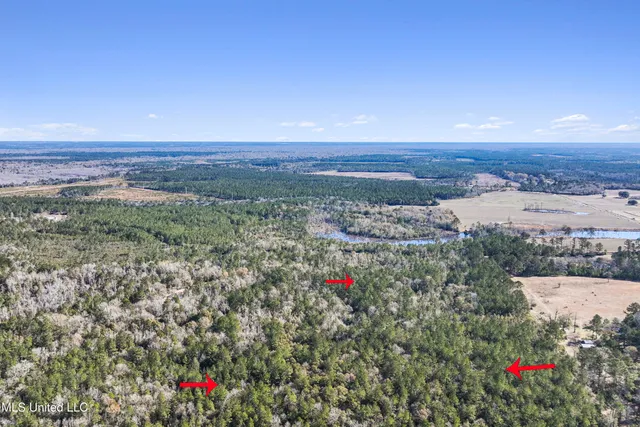 $788,500 | Kit Maples Road, Perkinston, MS 39573