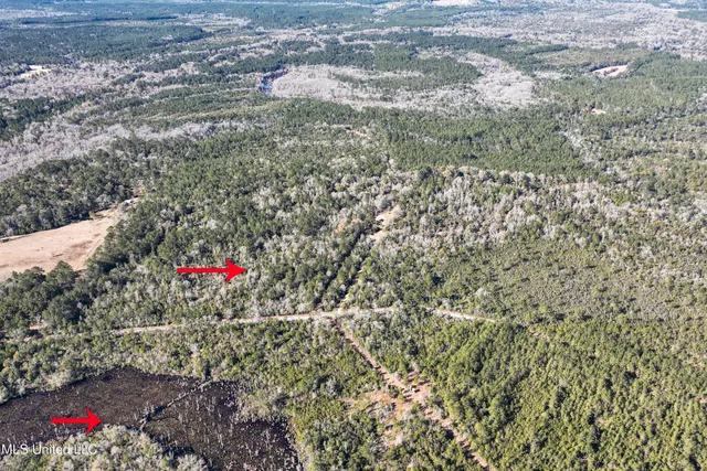 $788,500 | Kit Maples Road, Perkinston, MS 39573