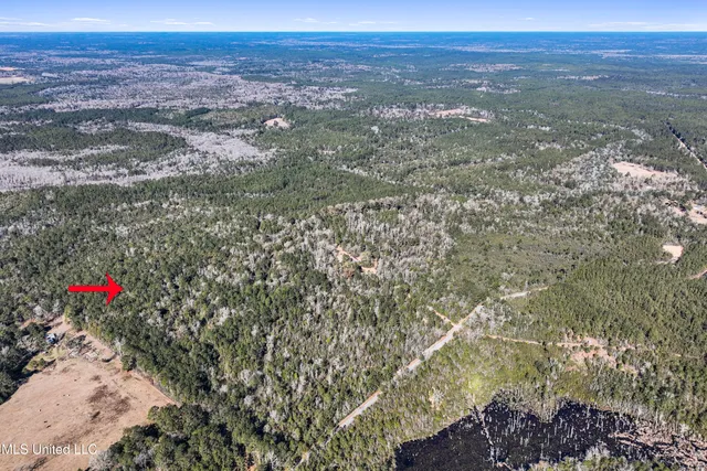 $788,500 | Kit Maples Road, Perkinston, MS 39573