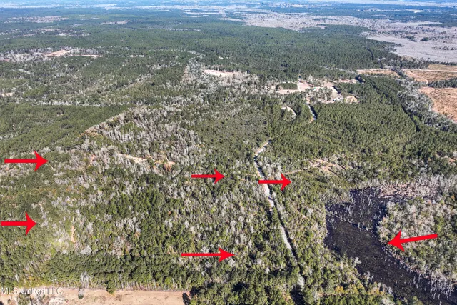 $788,500 | Kit Maples Road, Perkinston, MS 39573