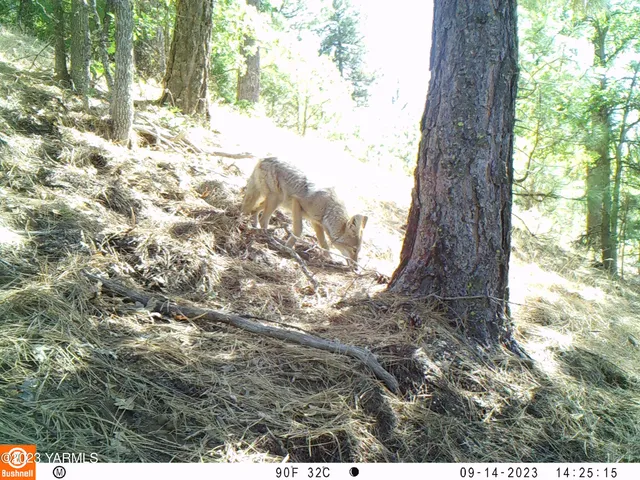 a view of an mountain
