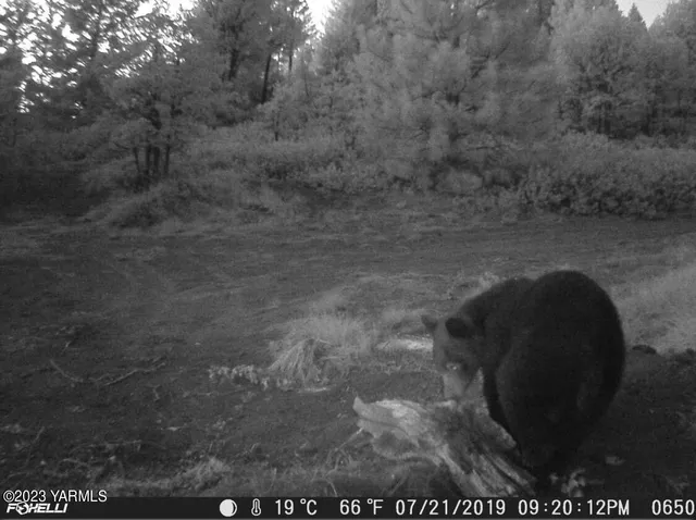 a view of a snow on the road