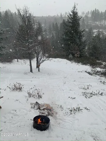 a view of a back yard