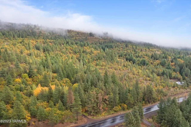 a view of a yard with wooden fence