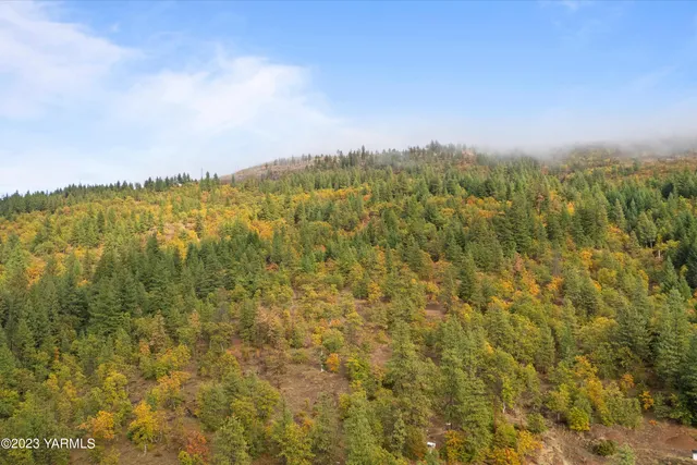 a view of a lake from a yard