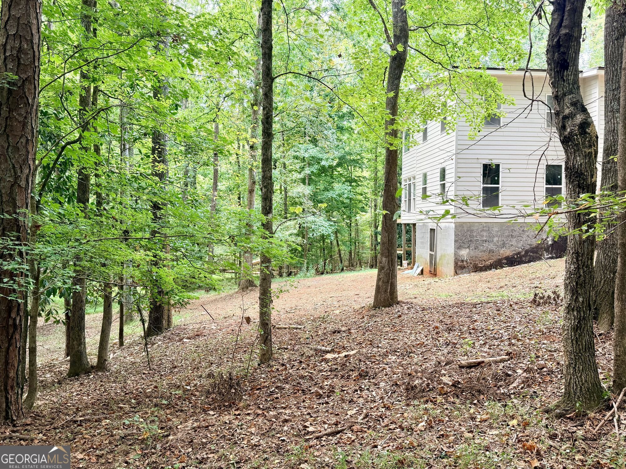 876 Newton Road LaGrange, GA 30240 - Photo 2 of 33 Gallery Image 2