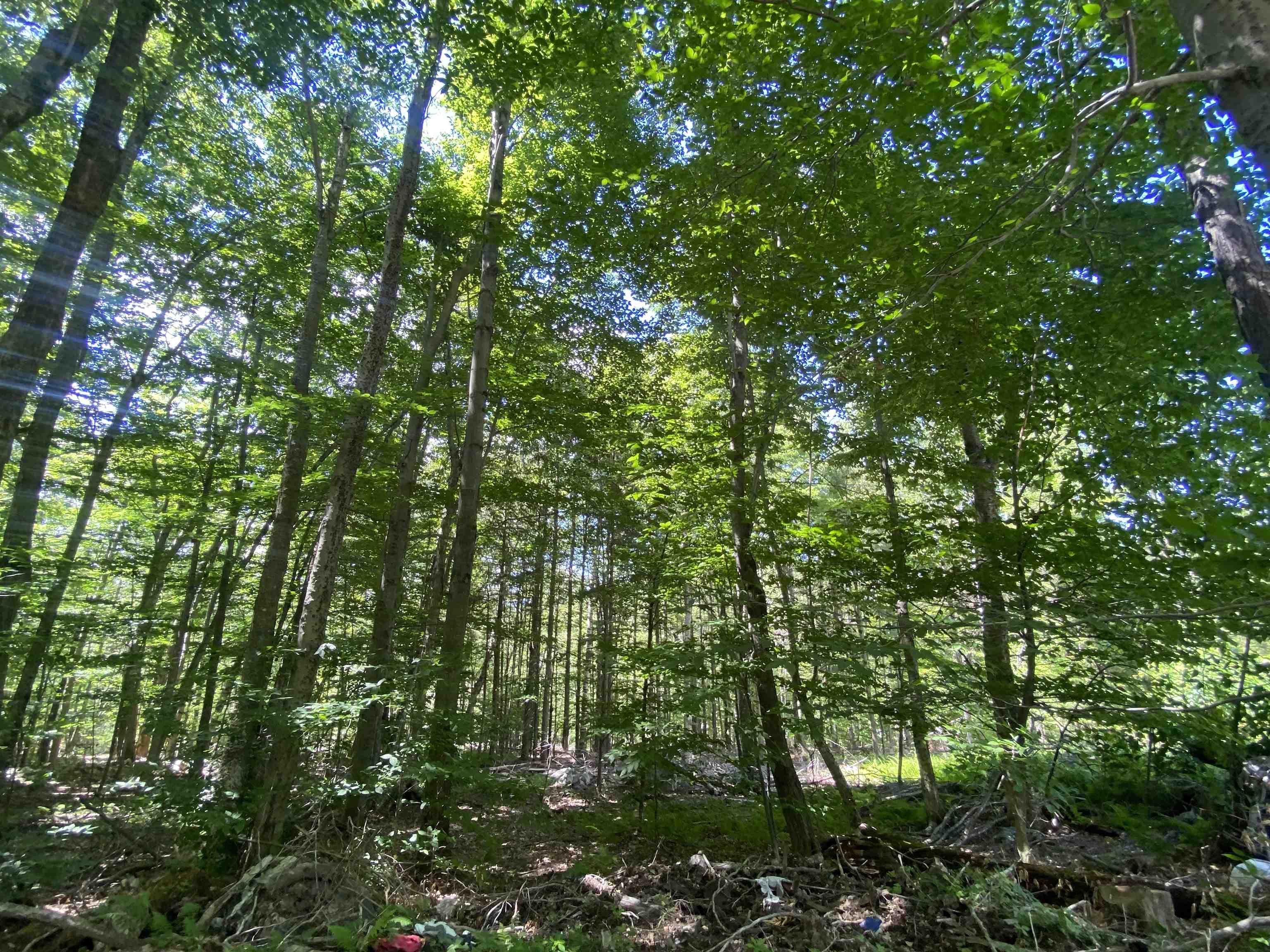 1213 Gore Road Bennington, VT 05201 - Photo 17 of 35