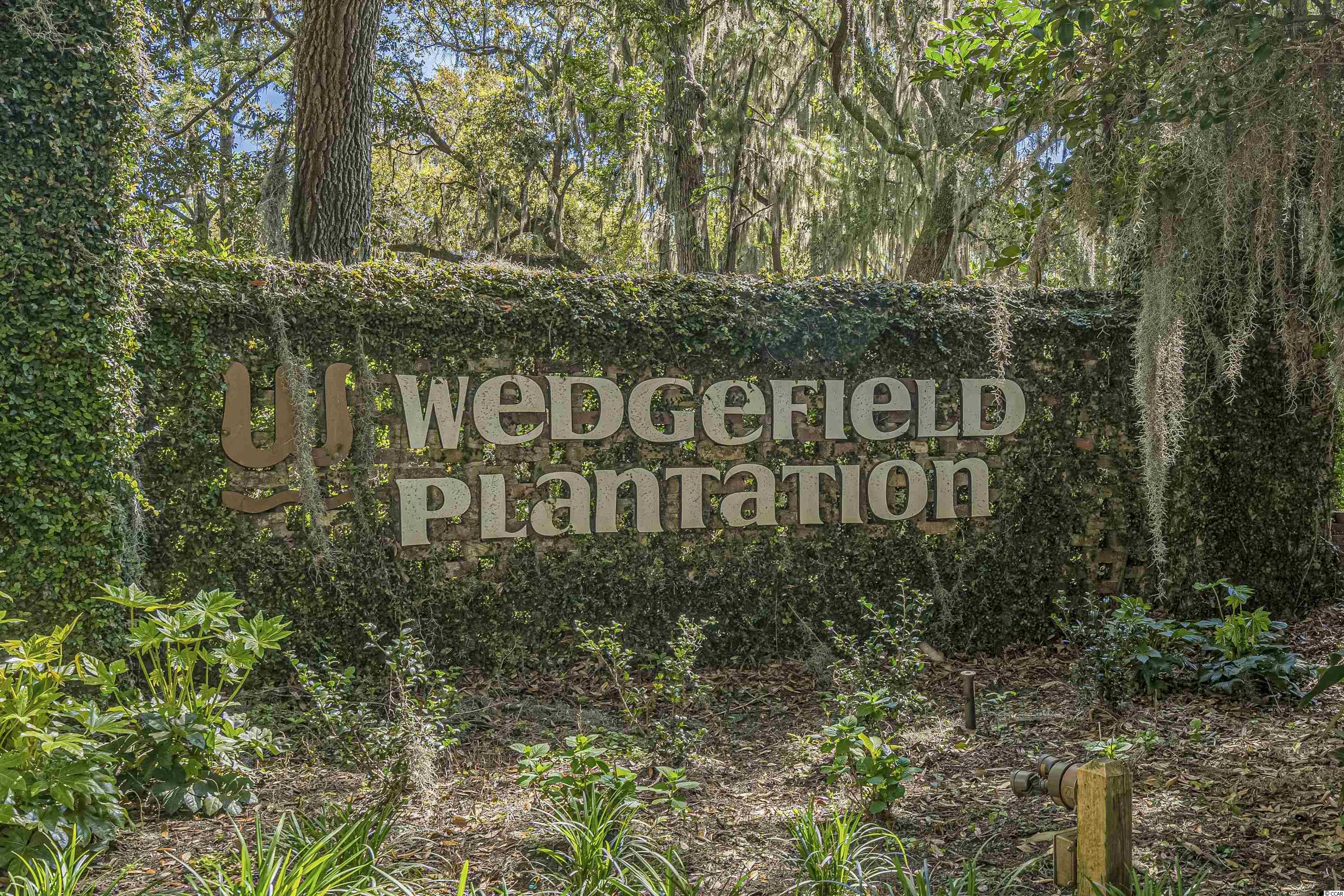 581 Francis Parker Road Georgetown, SC 29440 - Photo 24 of 29 Gallery Image 24